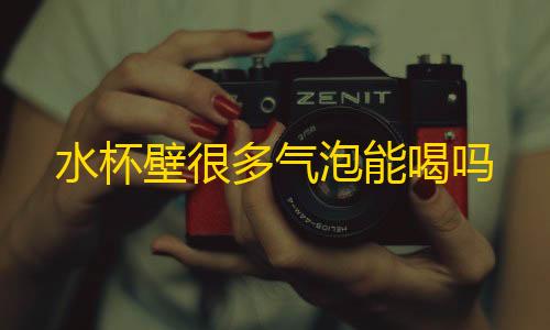 地铁逃生透视数据水杯壁很多气泡能喝吗